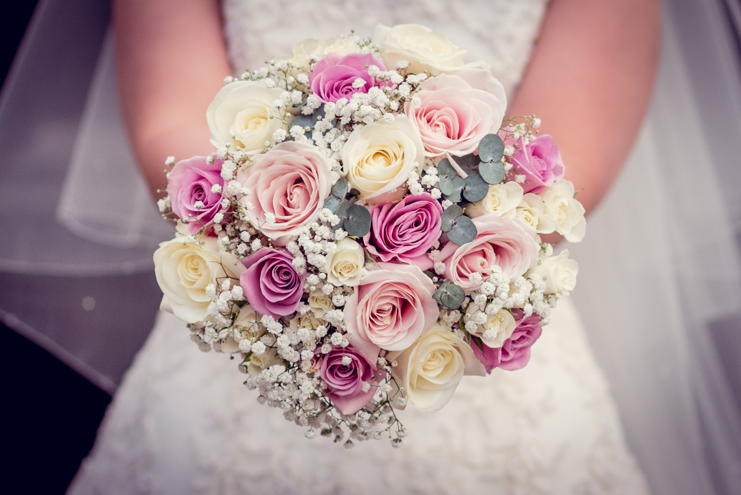 Ivory roses pink roses with gypsophila