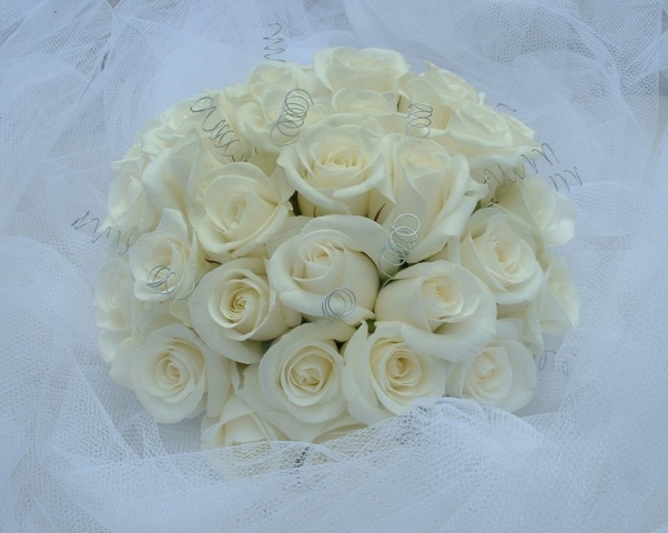 wedding flowers for bride in a hand tied style just roses with silver springs
