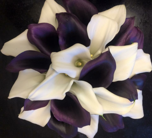 deep plum calla and ivory calla bridal bouquet in a hand tied