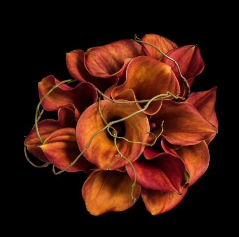 Orange calla lily redditch florist