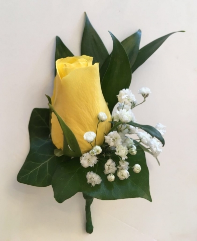 ivy yellow rose