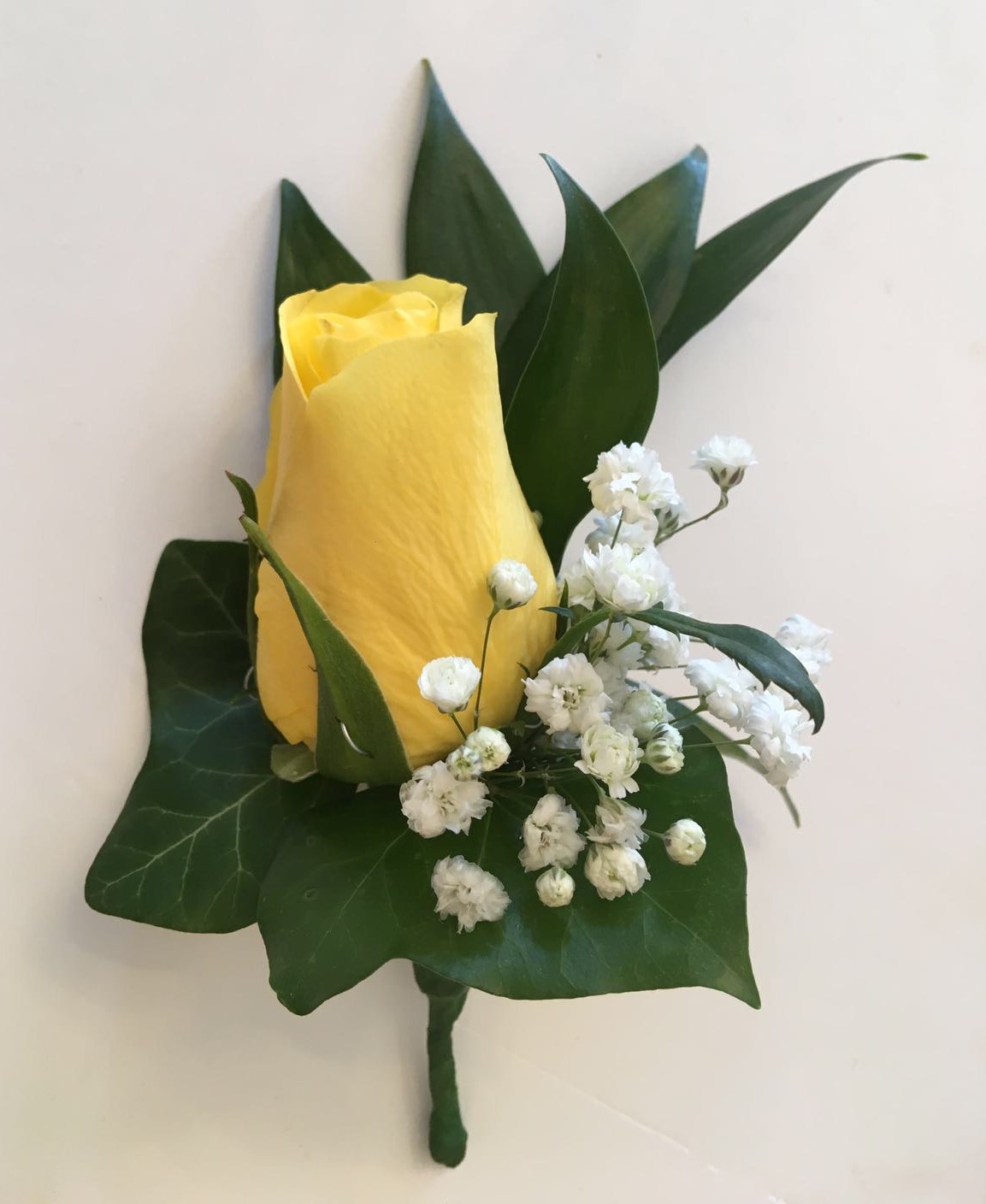 ivy yellow rose