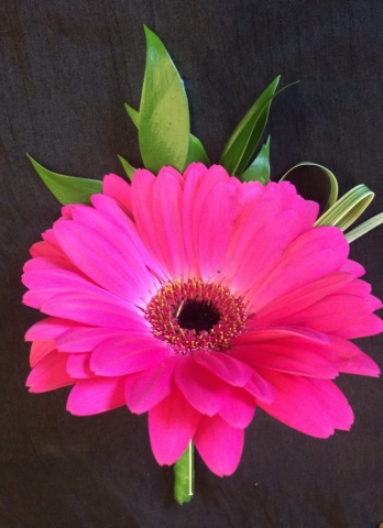 vibrant colour cerise pink buttonhole  mens or ladies