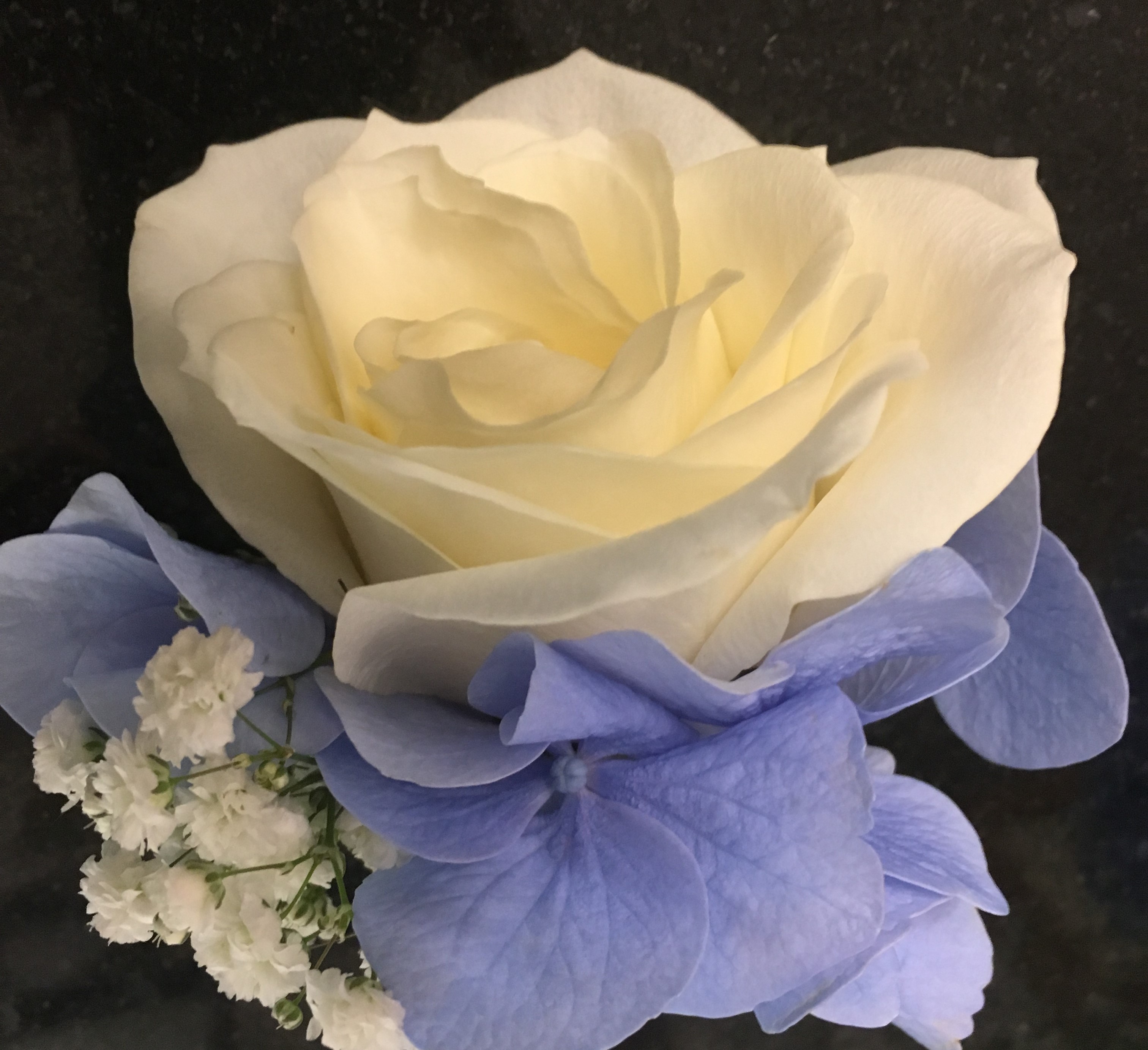 blue hydrangea buttonhole groomsmen