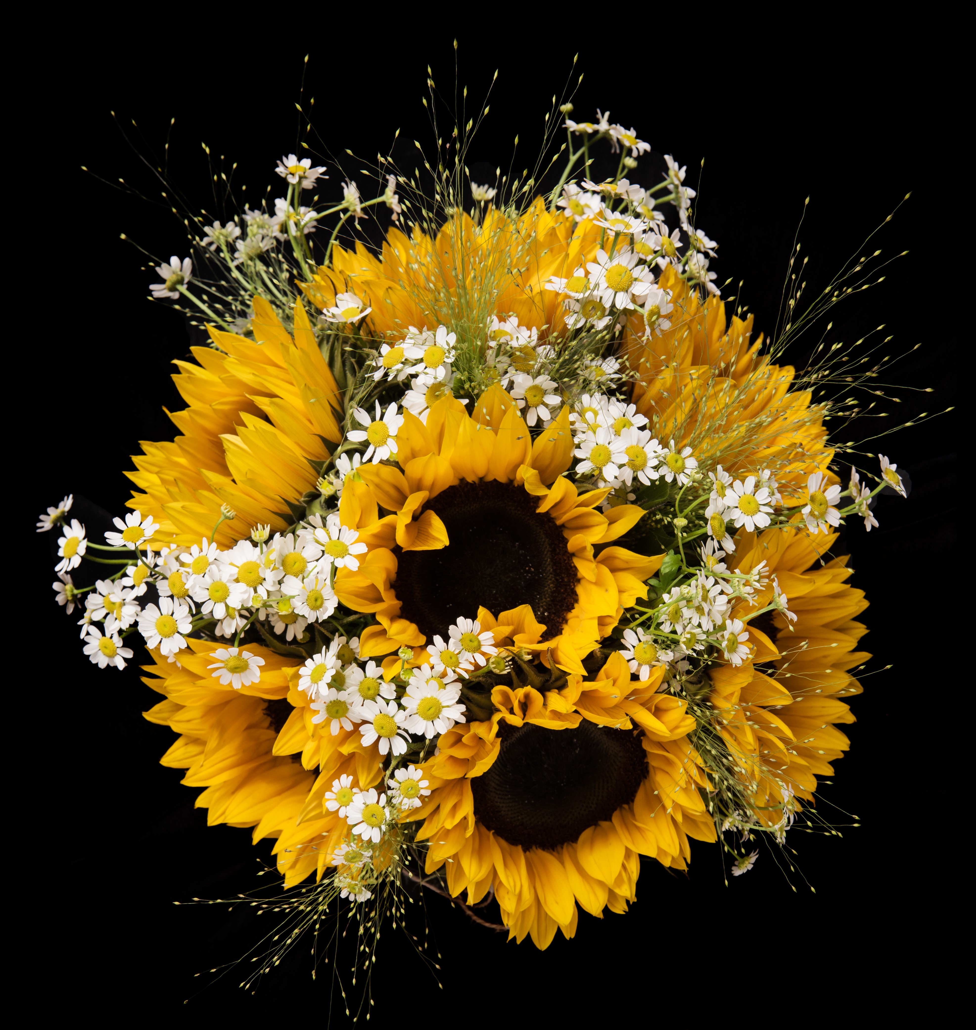 sunflower daisies in the country wedding