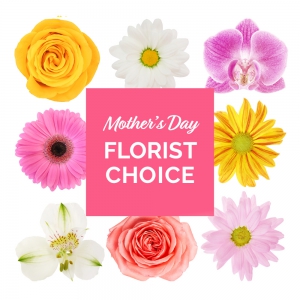 florist choice hand tied water